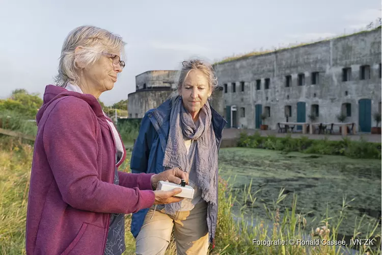 Vleermuizen op de Geniedijk