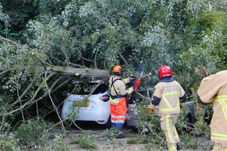 Boom op meerdere geparkeerde auto&#39;s beland in De Kwakel