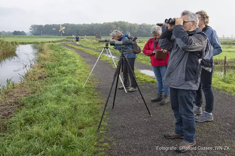 Vogelexcursie Hekslootpolder en De Gruijters