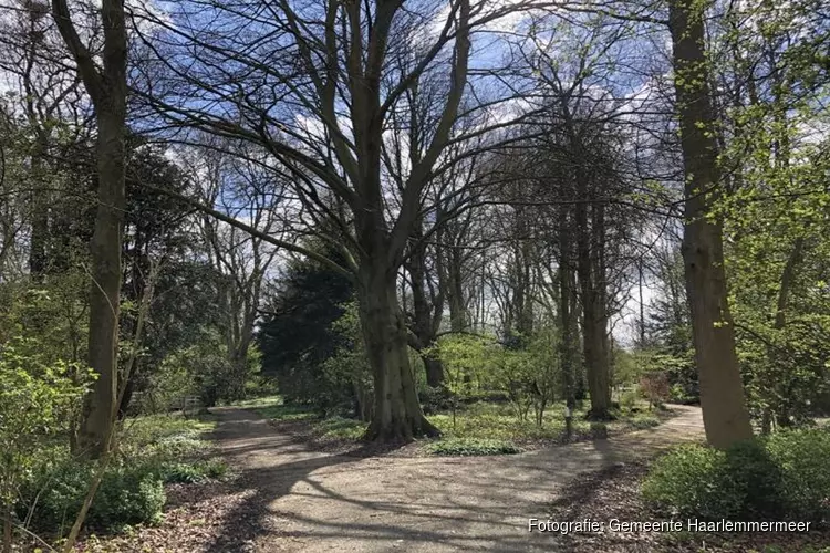 Uitdunnen heesters in wandelbos