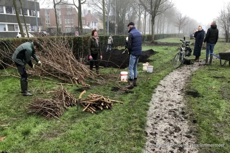 Meergroen in actie voor fruittuin in Hoofddorp