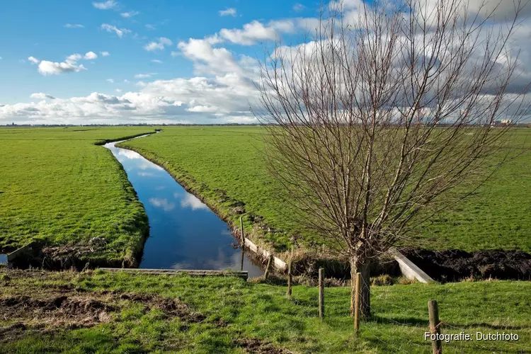 Unieke wandeling door Ronde Hoep