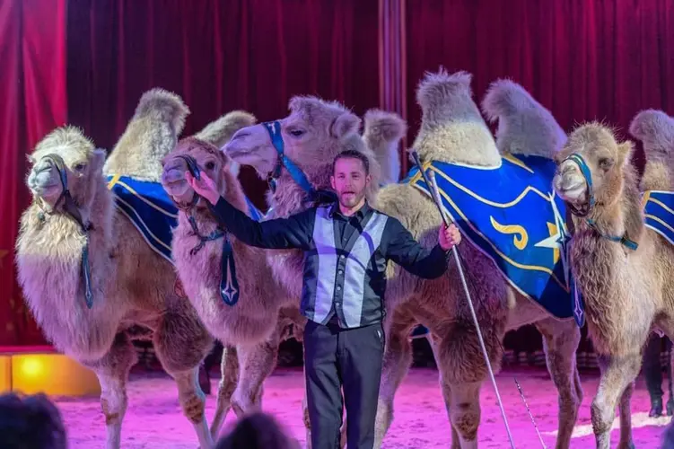 Circus Renz Berlin komt naar Nieuw Vennep