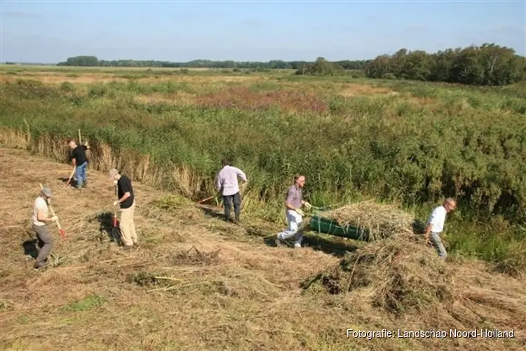 Hooien op De Batterij in Halfweg