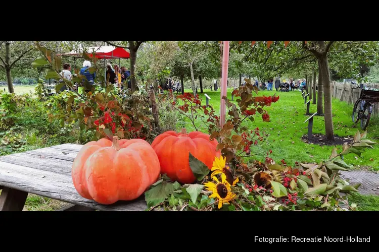 Boerenerf Spaarnwoude viert de herfst met een groot herfstfeest!