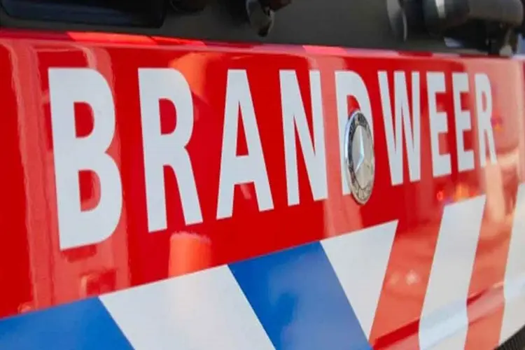 Jeugdbrandweer Rijsenhout in landelijke finale