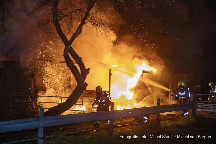 Paarden door brandweer uit vlammenzee gered in Halfweg