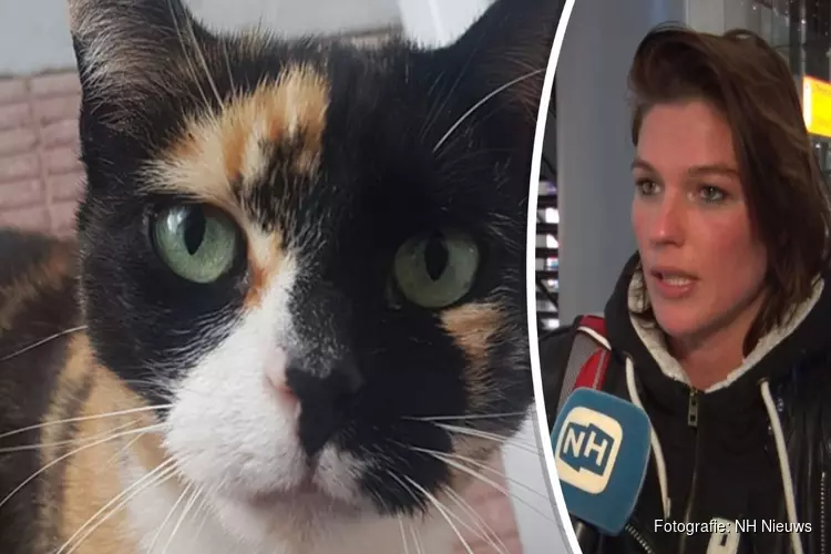 Baasje vermiste kat zoekt in ondergrondse ruimtes op Schiphol: "Het is een doolhof"