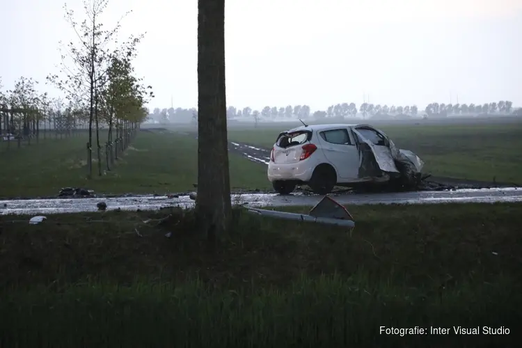 Auto tegen boom, bestuurder gewond