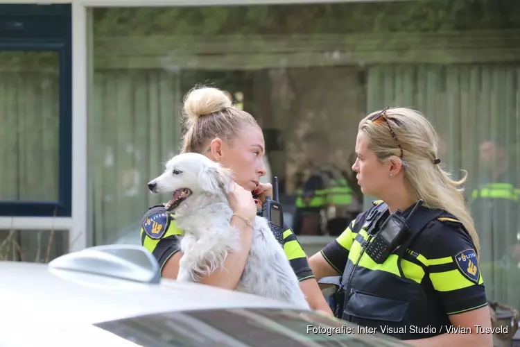 Hond uit brandende woning gered in Uithoorn